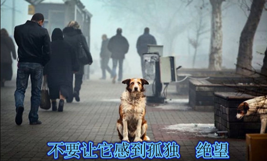 昭通昭通爱影圈微博微信转发案例